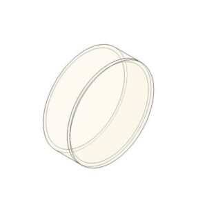 Glass Round Sconce Lighting Fixture